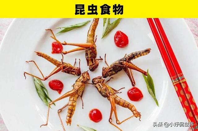 在未来，可能会在生活中非常常见的6种食物