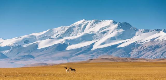 「你的育儿经」书架上的最美中国纪录片《这里是中国》,每一页都震撼人心