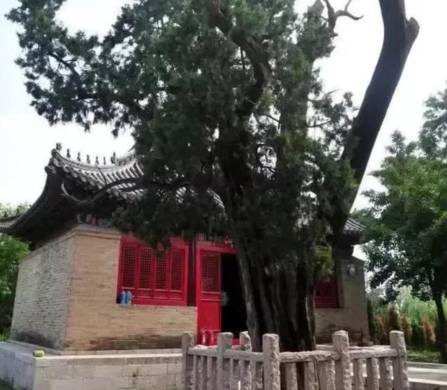「玩乐足迹」“济南西站东广场北”有个千年古寺—兴福寺，寺庙不大规格高