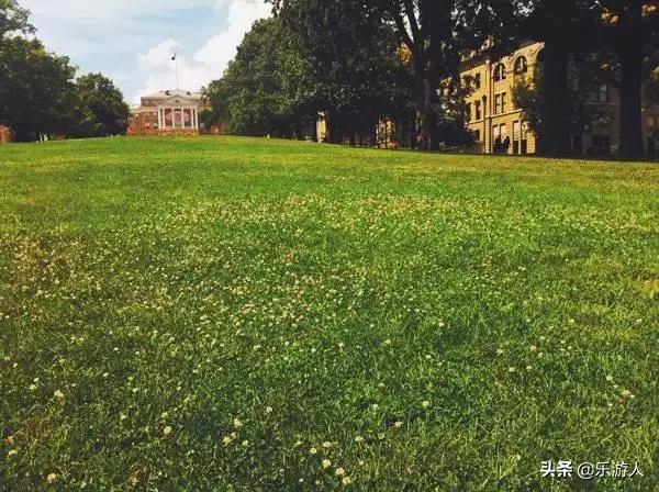 [行路万里]学会这些手机摄影技巧，手机也能拍出单反的效果！