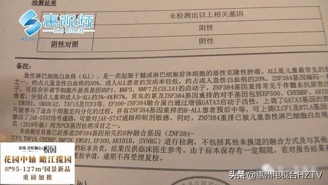 伐木累|幼儿突患白血病 家长质疑患病可能跟幼儿园有关