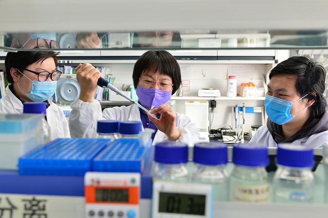 科技日报：中外联合团队揭开植物受精“一夫一妻制”的秘密
