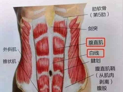 「你的育儿经」健身千问：产后半年了，为什么肚子还是很大？
