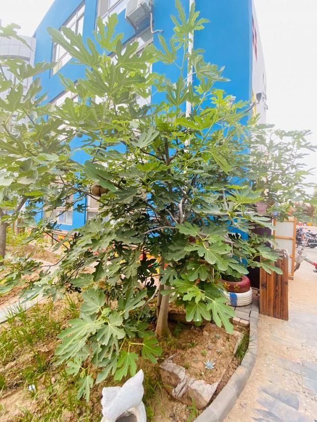 齐鲁东营资讯|开学啦 我们不见·不散