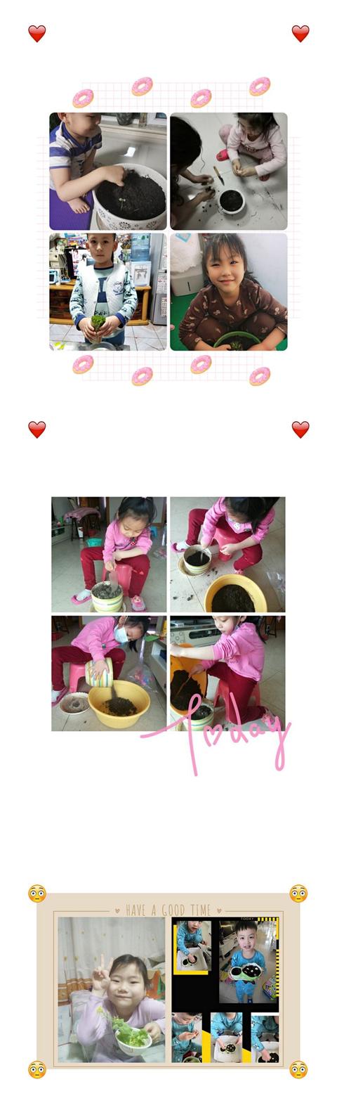 「你的育儿经」幼教老师收藏幼儿园主题活动《播种绿色意识，收获绿色希望》