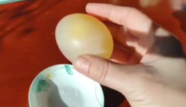 你的育儿经@娃看呆了！这7个易上手的“魔法”小实验，在家就能做，效果赞爆