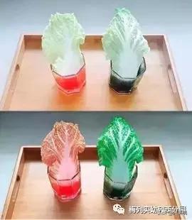 [你的育儿经]「家园齐心 共战疫情」梅列实幼列西分园亲子“爱?悦课堂”小班（第五期）