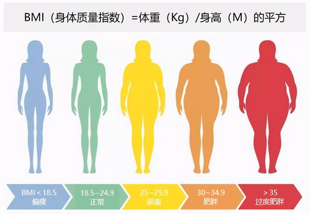 肥胖女性仅仅是不好看吗？还要警惕多种癌症风险