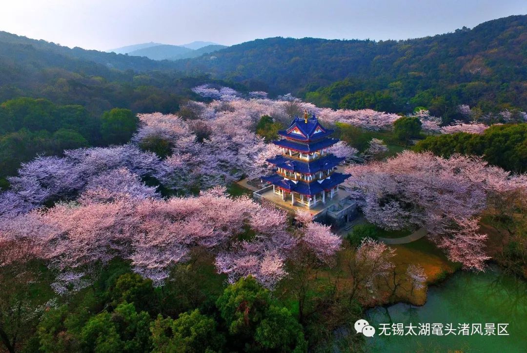 「麻辣杂谈」无锡首批8家景区室外区域明天起将有序开放