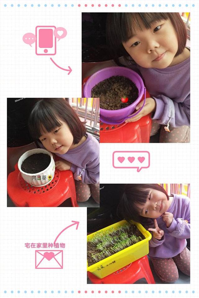 [超级宝妈]学龄前儿童如何“宅家”成长，枣庄这所幼儿园给你支招