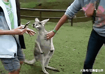 搞笑gif:姑娘的这个一字马太厉害了