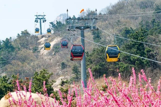 『约吗旅行』迎着春光，赴一场花海之约~