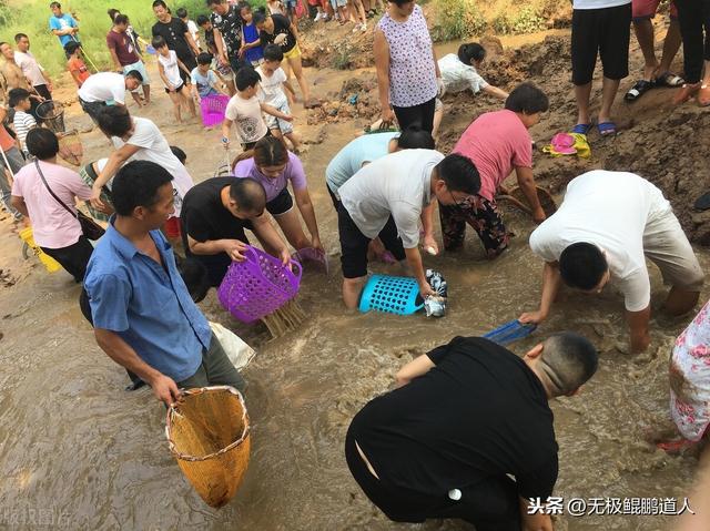 特斯拉，一条刺激中国市场进步的鲶鱼