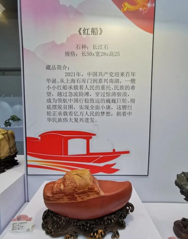 花卉|在广东展区欣赏“花好粤园”