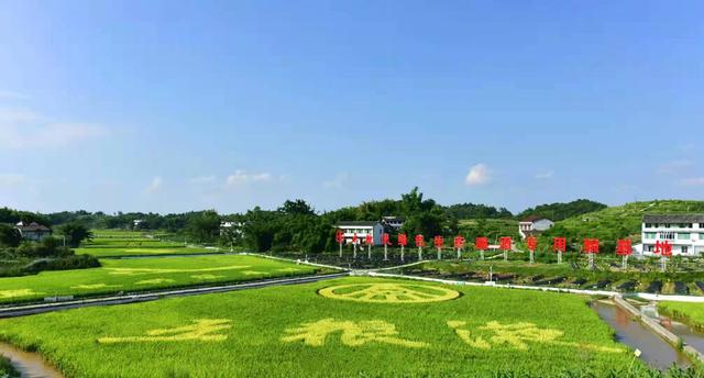 线上为主线下结合——2020中国国际名酒博览会本月17日宜宾开幕