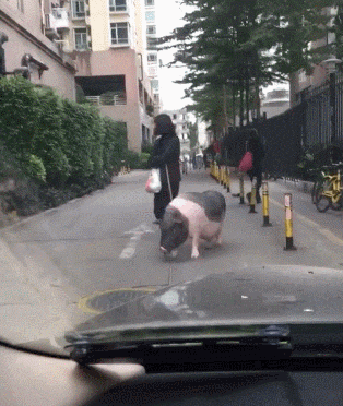 搞笑gif,来看看我的神车!决战秋名山