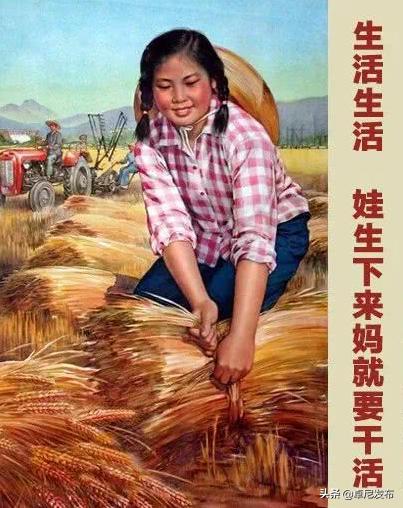 国民帅比|卓尼二胎宝妈的那些事