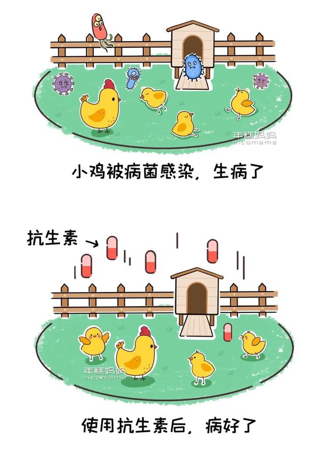 「你的育儿经」江浙80%儿童尿中查出抗生素！别慌！家长最该做的是这个