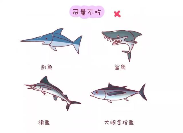 你的育儿经|不是所有的鱼吃了都能让宝宝变聪明,这几种鱼是黑名单,你知道吗
