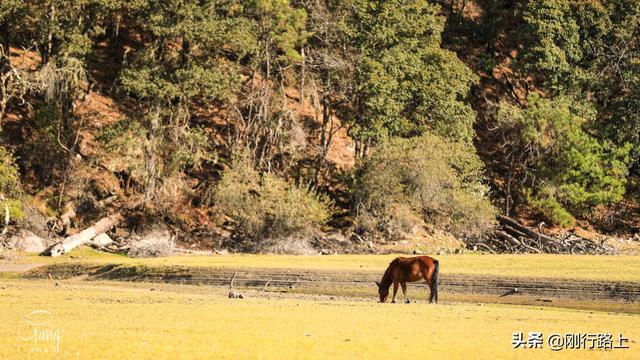 「旅行柚子君」镶嵌在高山森林之中的绿色宝石,这就是草湖