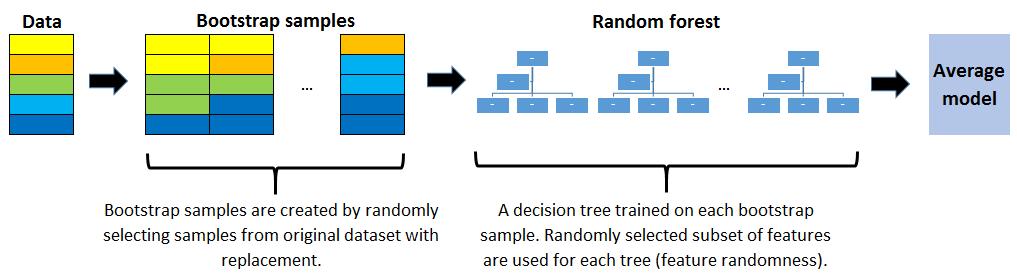 11种最常见的机器学习算法简介