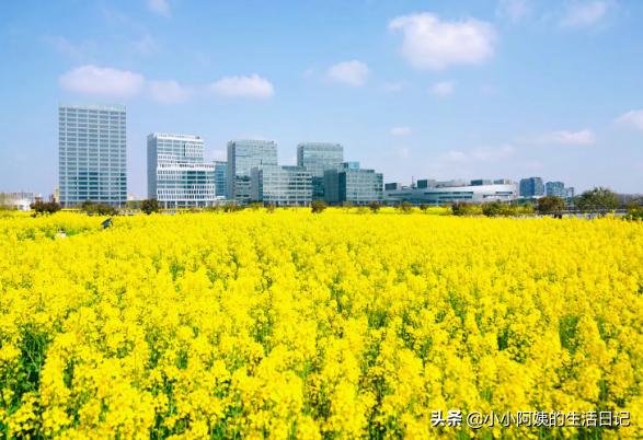 你的育儿经■辛苦备孕无果？先看看这5点建议！