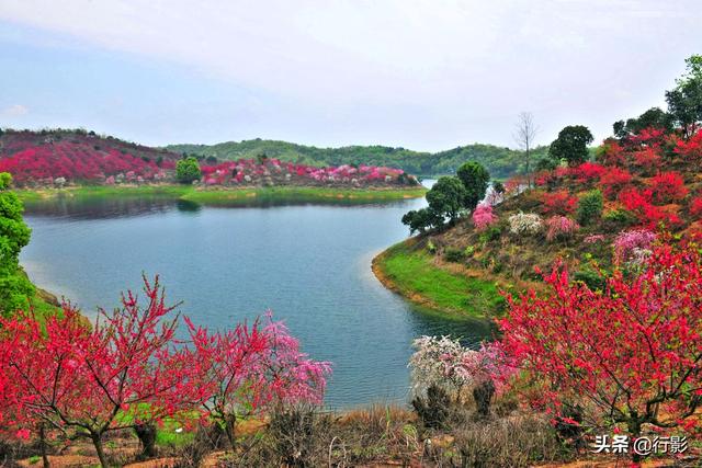 「旅行百事通」江西庐山下藏着中国版小马尔代夫，住水上小木屋，看春花满山遍野