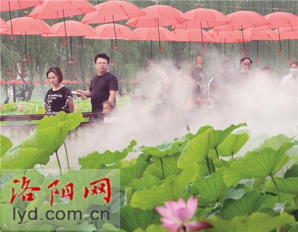 #嗨年#2020中国(孟津)黄河小浪底文化旅游节开幕