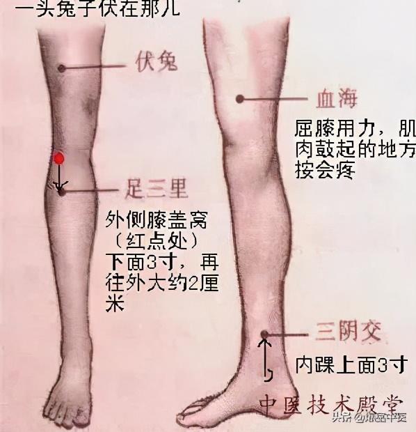 全身穴位治疗口诀大全，配图精华版