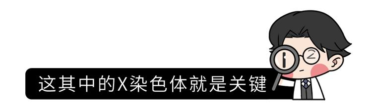 认命吧，男人就是比女人更短命，除了太监