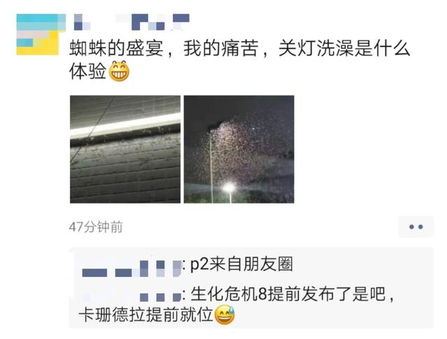 白蚁|@广东人，记得关好门窗