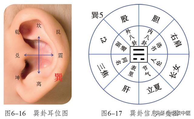 肩周炎反复发作，这些耳穴能缓解