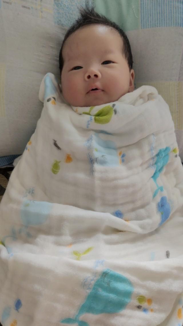超级宝妈▲宝宝2月，小不点变小胖妹！