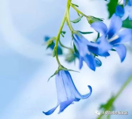 [暖先生格调]孩子的每一个坏习惯背后，是你没看到的需求