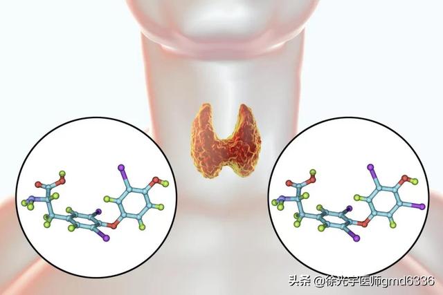 关于优甲乐的12点注意事项，理解后可用药无忧