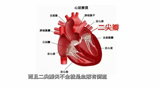 两颊暗红或是心脏报警信号！看“前沿”手术，拯救“命门”