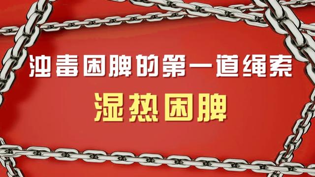 浊毒|体内有浊毒，越补越糟！一粥一茶，“解救”脾胃，湿浊瘀血全扫除