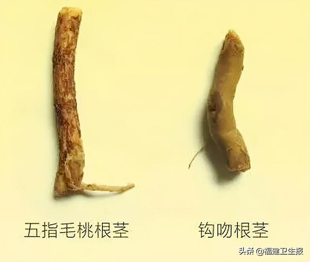 中毒|7人中毒1人死亡！福建疾控紧急提醒