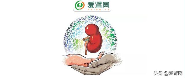 2毛钱的“神药”，不仅能延缓肾衰，还能保护心脑血管