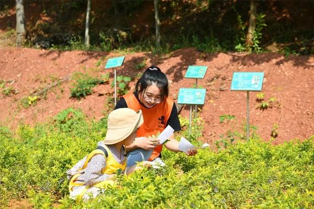 「喜讯」五龙客家风情园荣获“江西省科普教育基地”称号