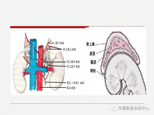 什么是爱迪生病？爱迪生得过吗？