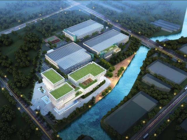 公司|这个“助理”，让嘉定这些村的分红又多了