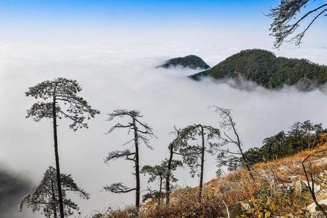 为大家推荐福建很火爆的几条线路，一定会让你爱上自驾之旅