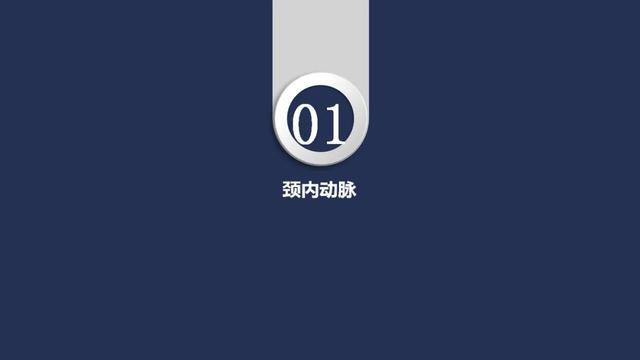 头颈动脉系统相关解剖