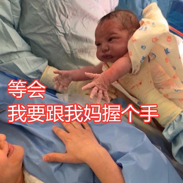 【天使宝贝】“社会宝宝”名至实归,出生第一件事是和妈妈握手,秀儿是你吗