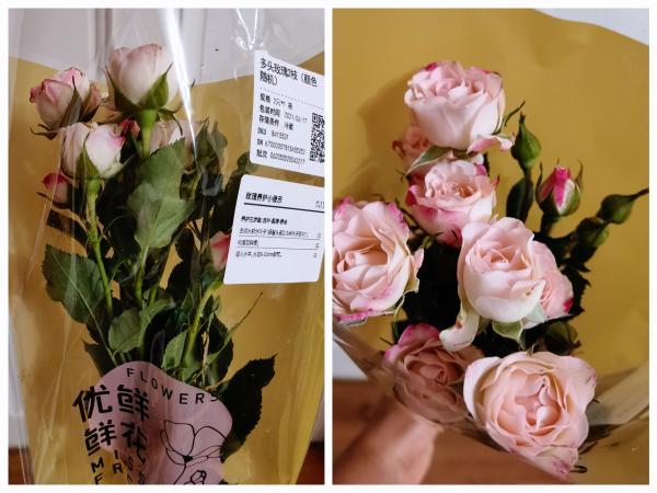 玫瑰|生鲜电商卖花到底靠谱吗？实测报告来了