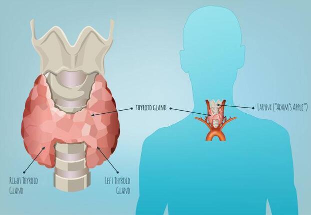 甲状腺结节患者，如能做到这5点，可大大降低结节癌变的几率