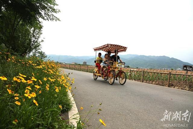 玩乐足迹:古村花开迎客来