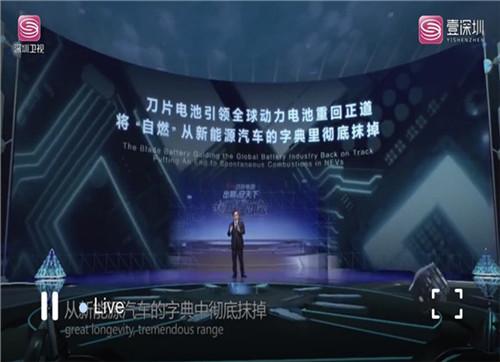 中青在线■王传福：刀片电池要掀起新能源汽车的“安全革命”