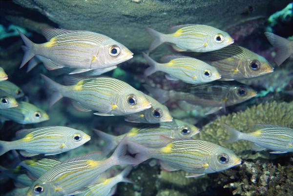 嘴里|10人9不知：这些养生常识！太重要了